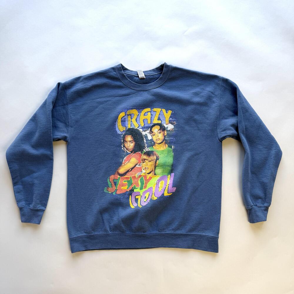TLC Crazy Sexy Cool Sweatshirt Mens Large Blue Graphic Fleece Pullover 90s